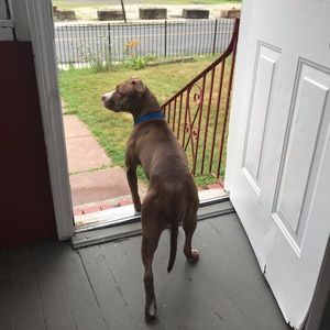 Meet your Posher, Tom